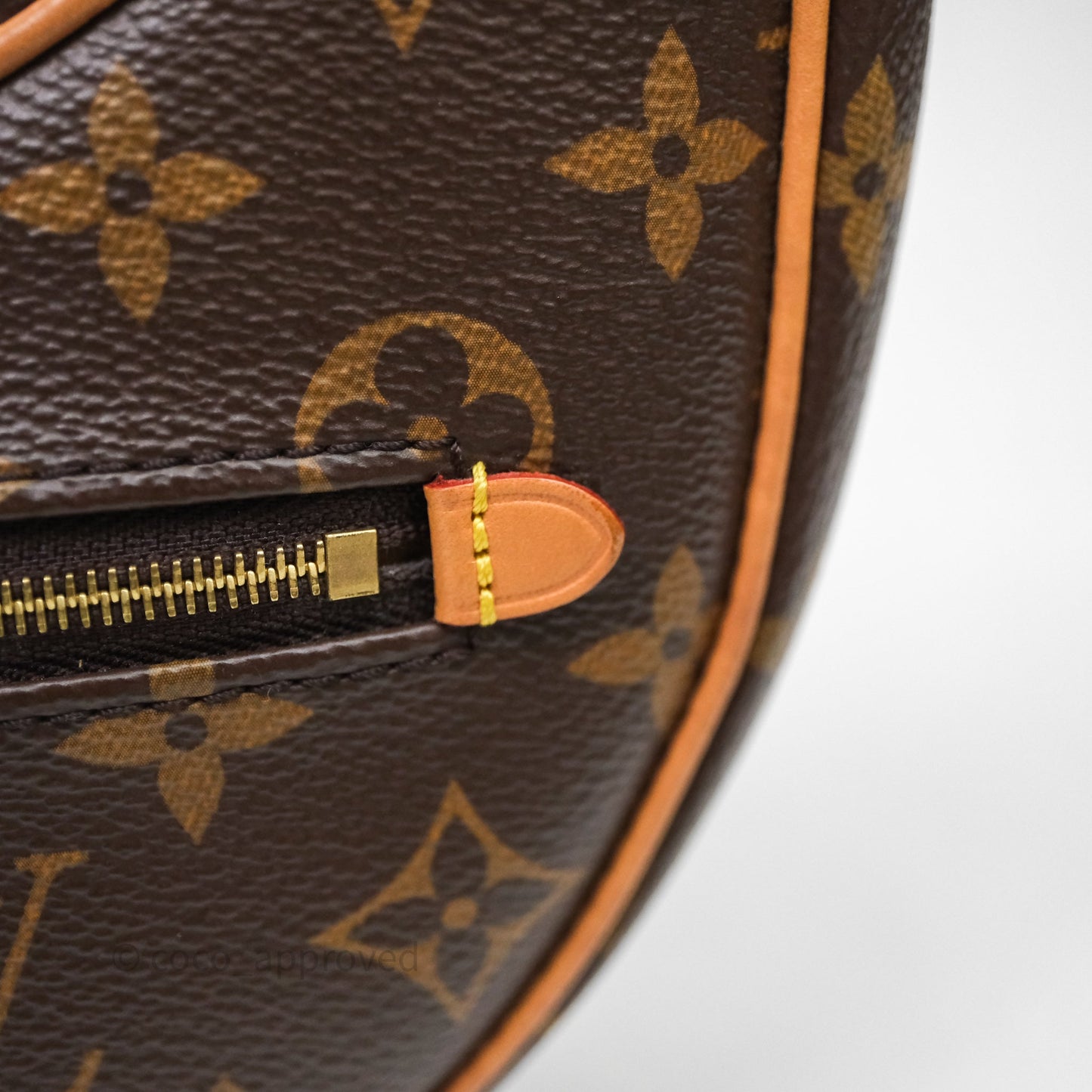 Louis Vuitton Loop Monogram Canvas