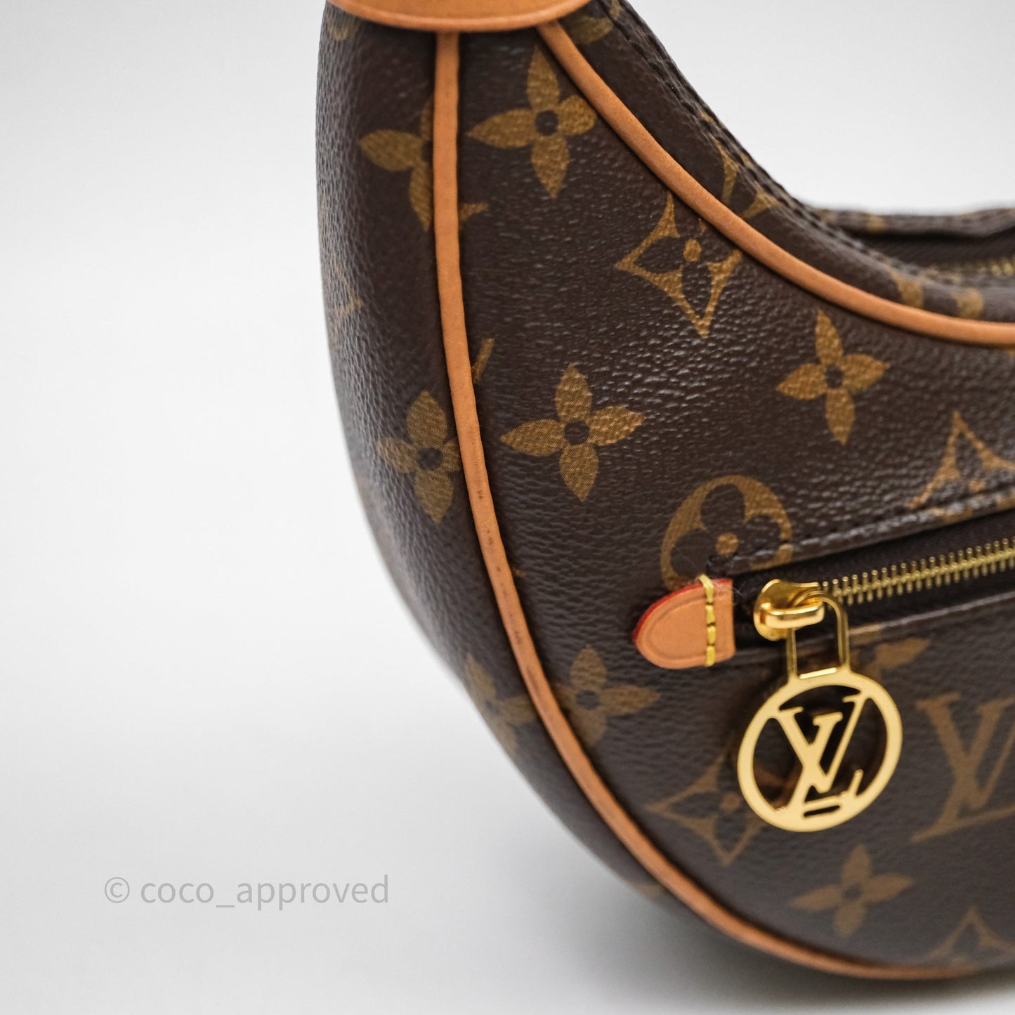 Louis Vuitton Loop Monogram Canvas