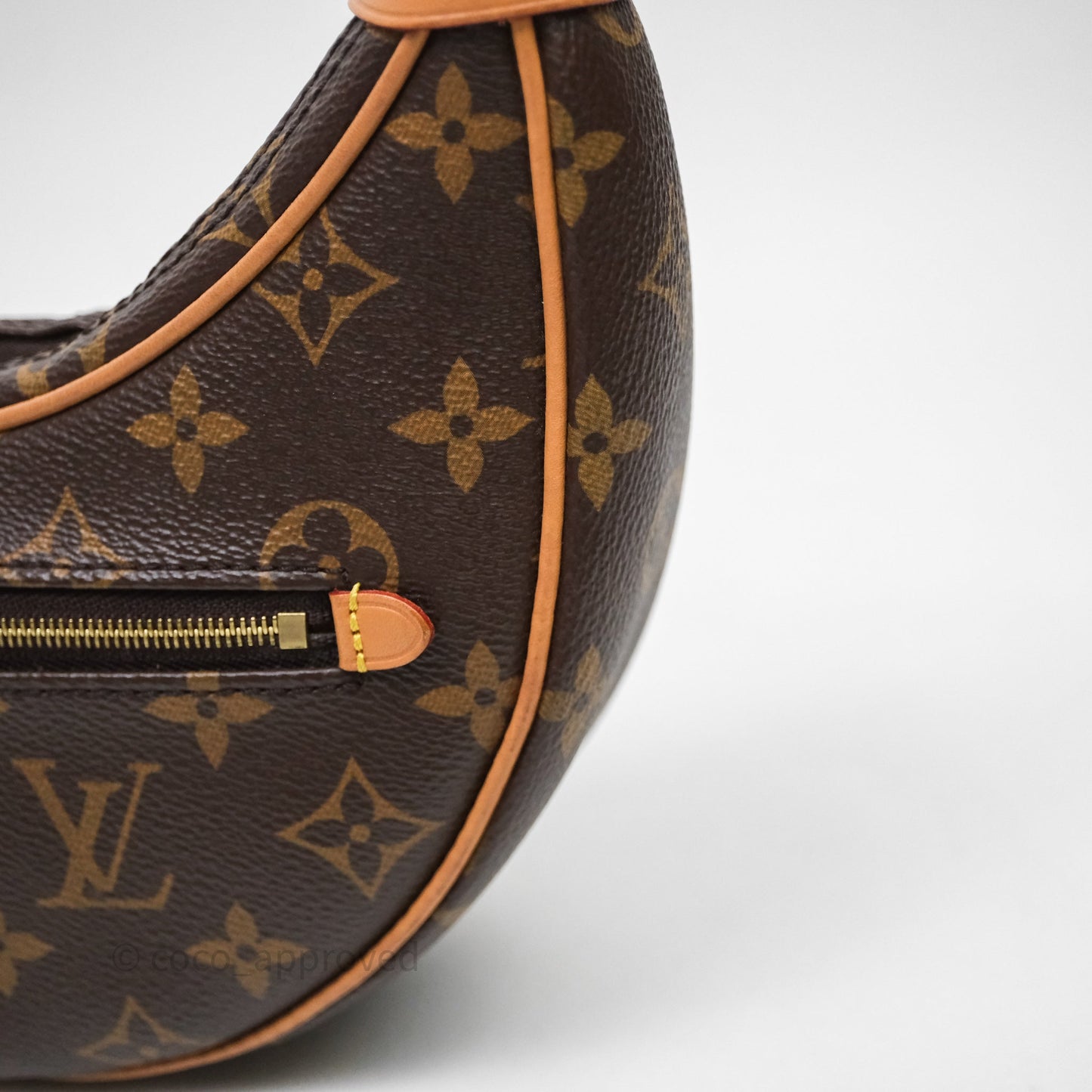 Louis Vuitton Loop Monogram Canvas
