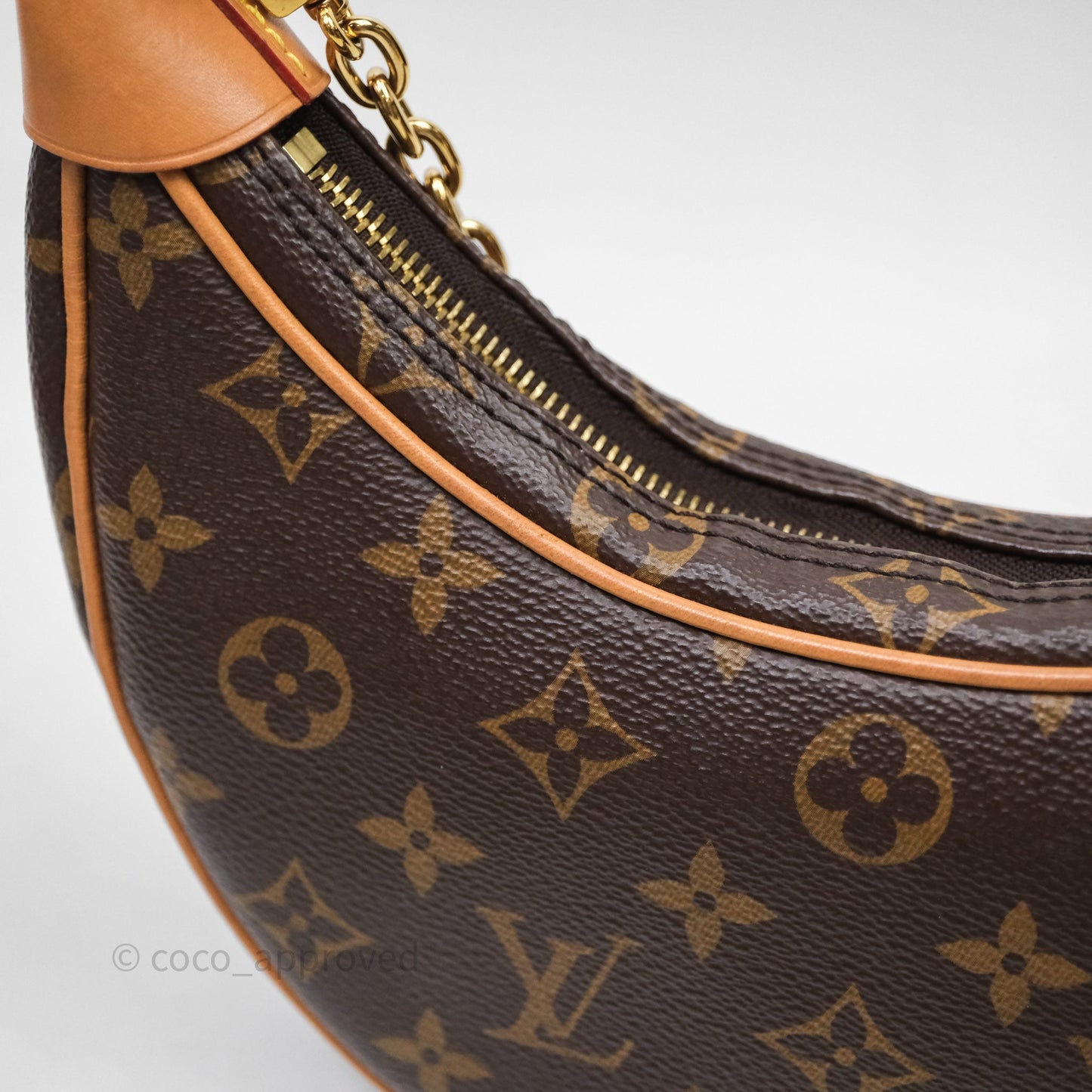 Louis Vuitton Loop Monogram Canvas