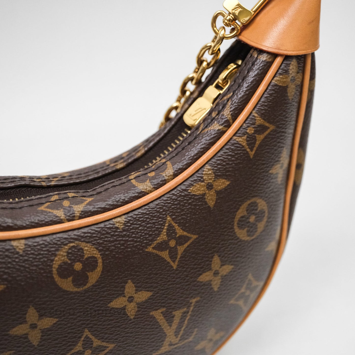 Louis Vuitton Loop Monogram Canvas