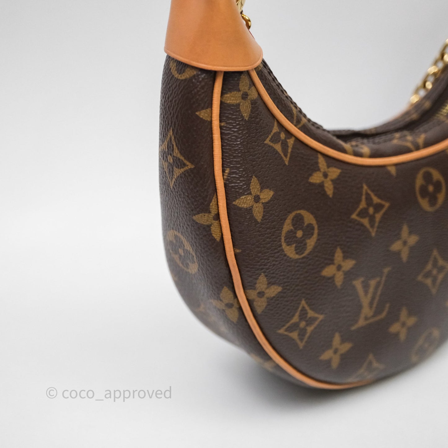 Louis Vuitton Loop Monogram Canvas