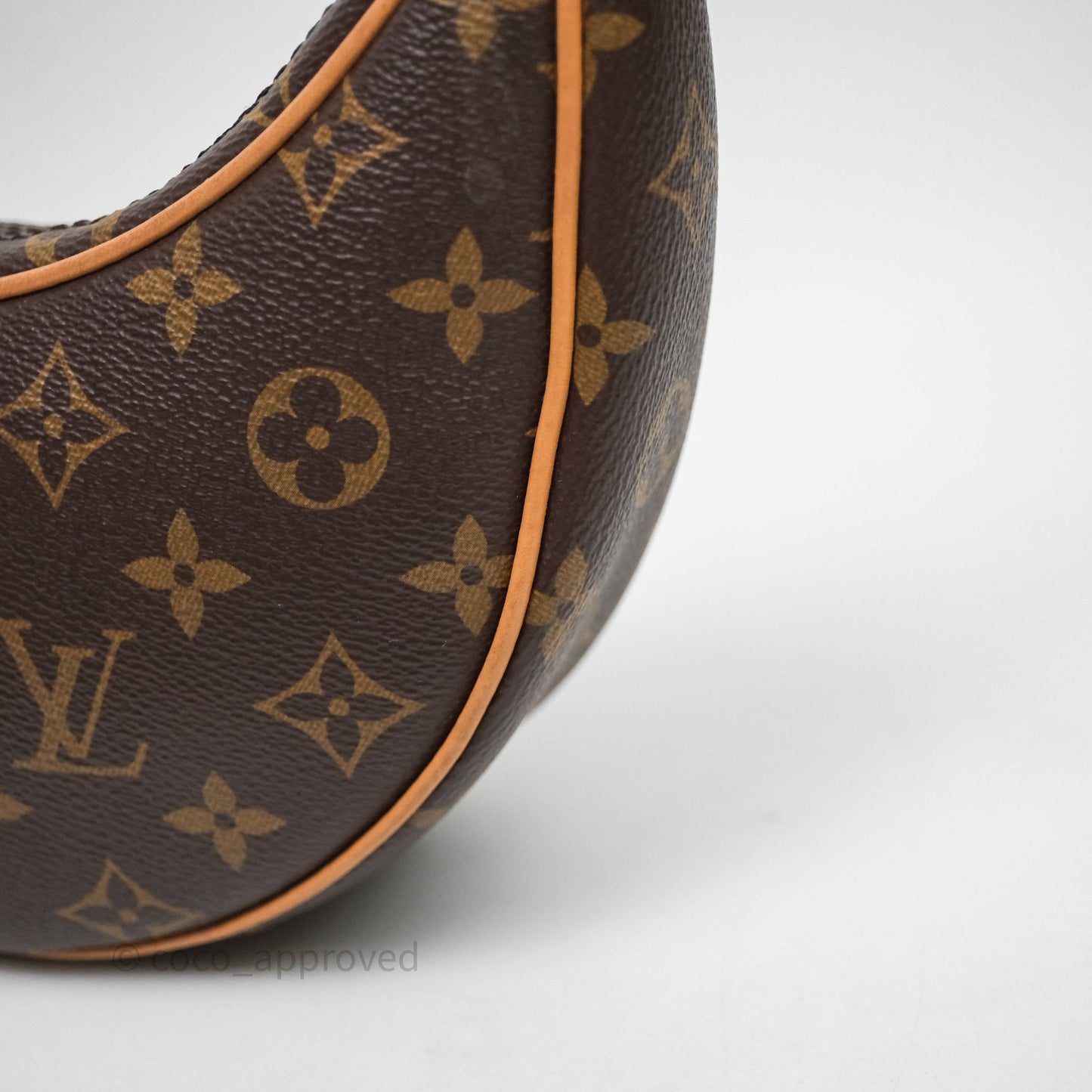 Louis Vuitton Loop Monogram Canvas