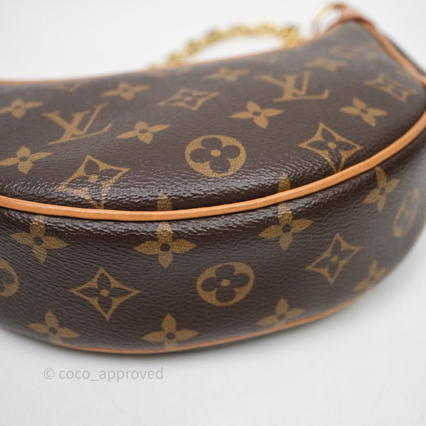 Louis Vuitton Loop Monogram Canvas