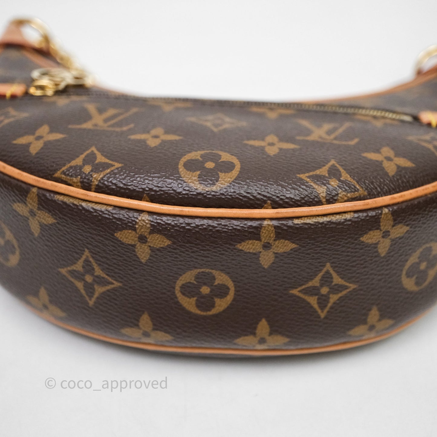 Louis Vuitton Loop Monogram Canvas