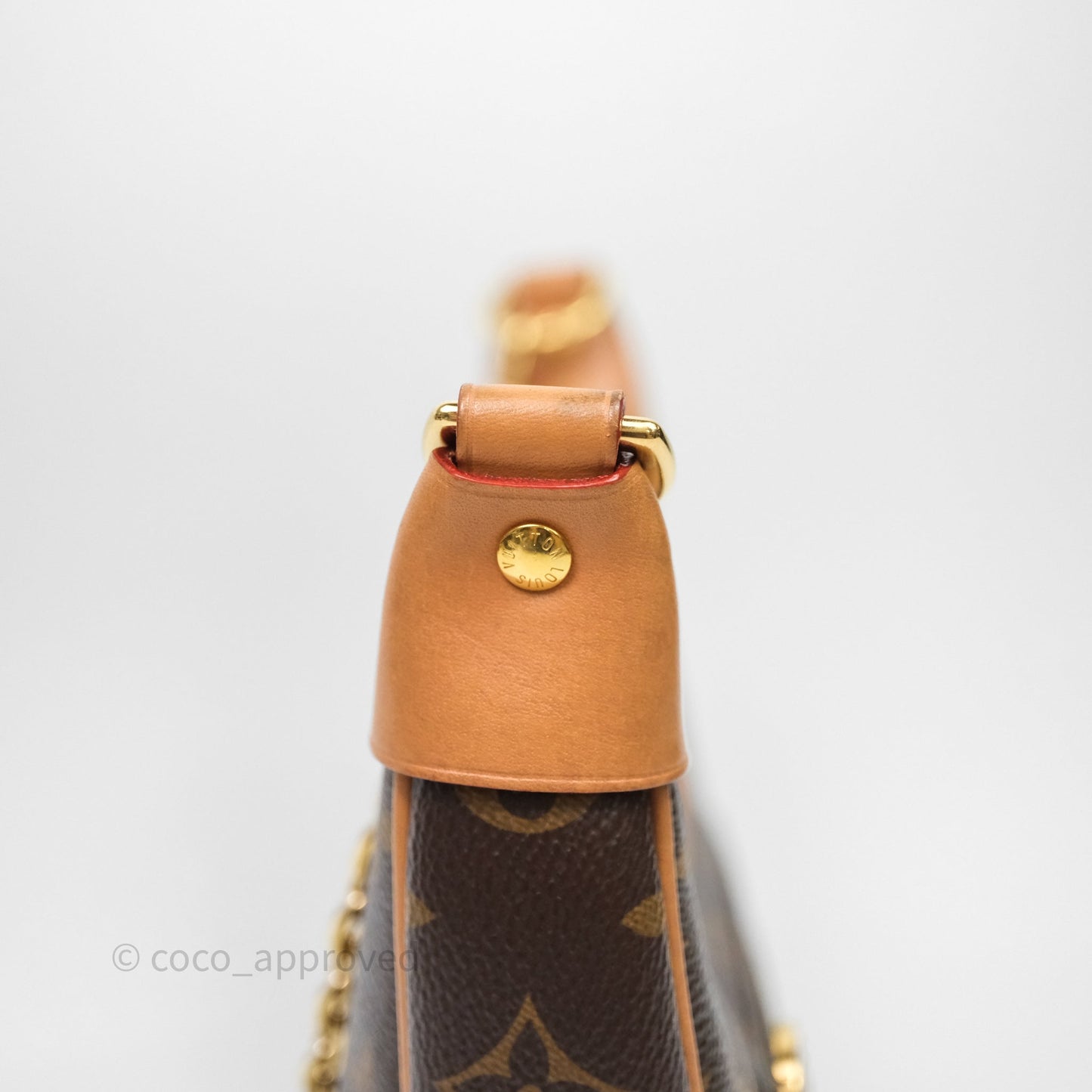 Louis Vuitton Loop Monogram Canvas