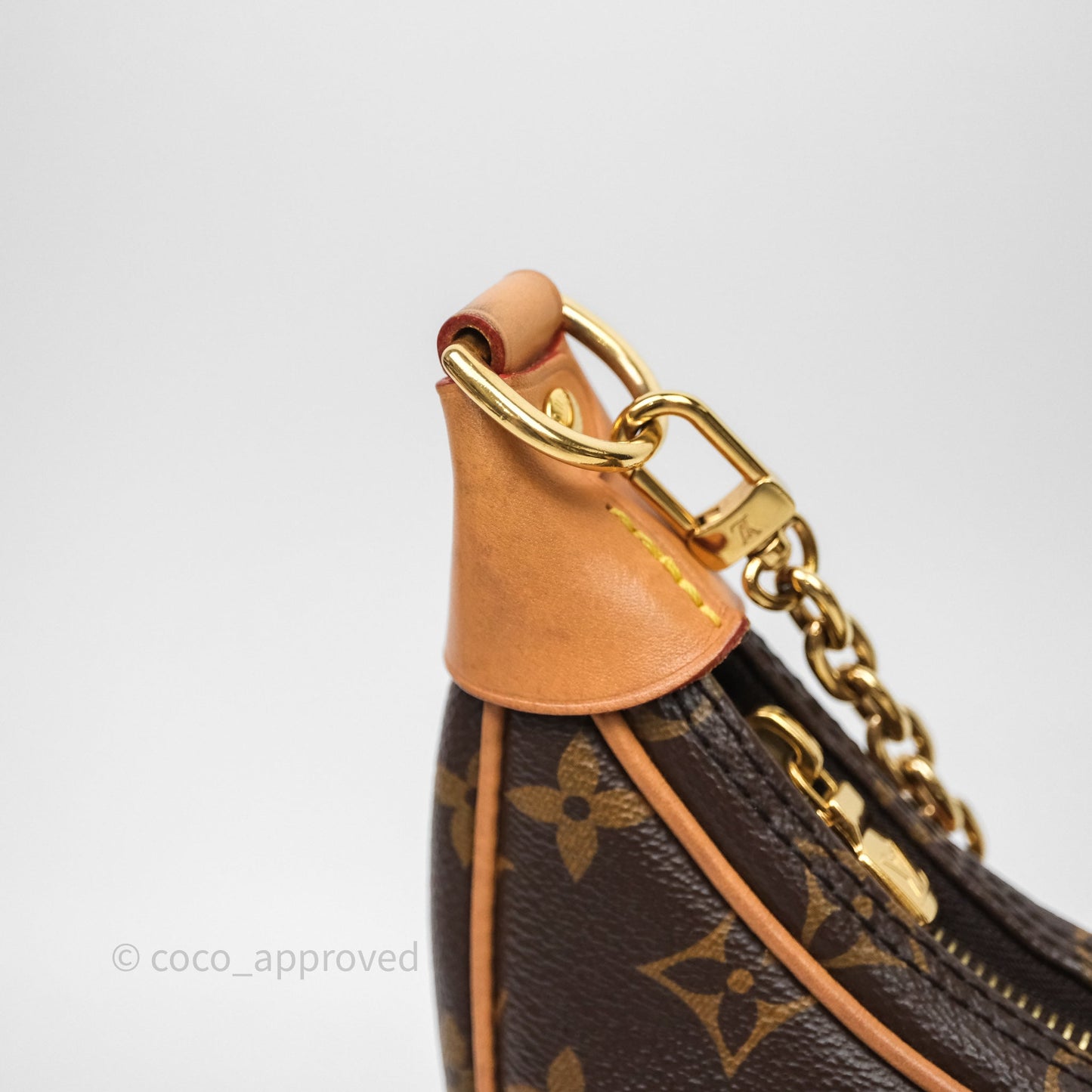 Louis Vuitton Loop Monogram Canvas