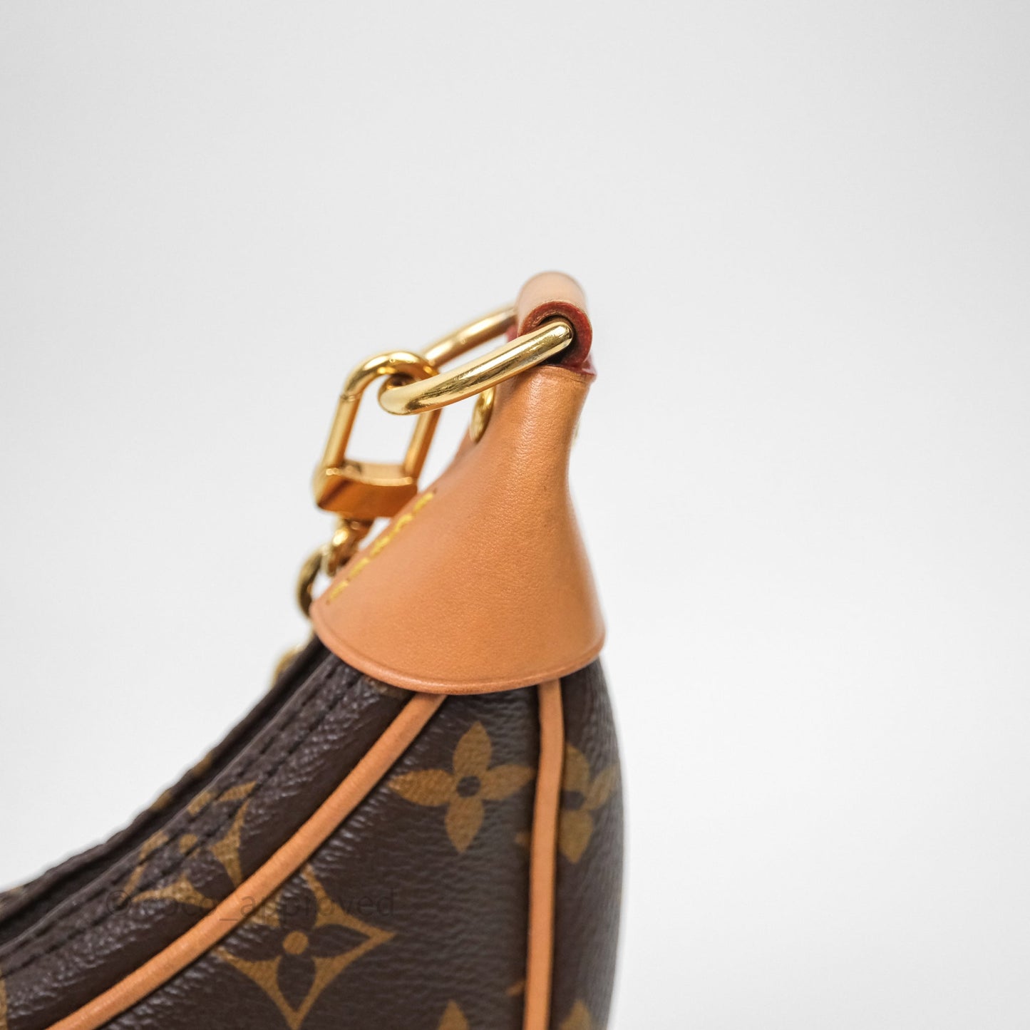 Louis Vuitton Loop Monogram Canvas