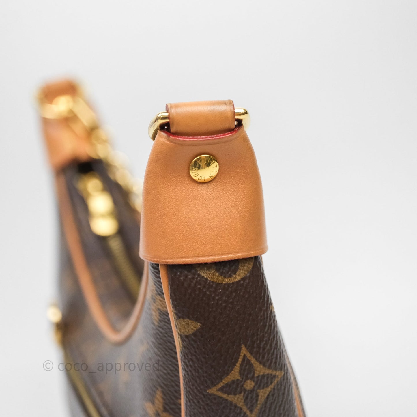 Louis Vuitton Loop Monogram Canvas