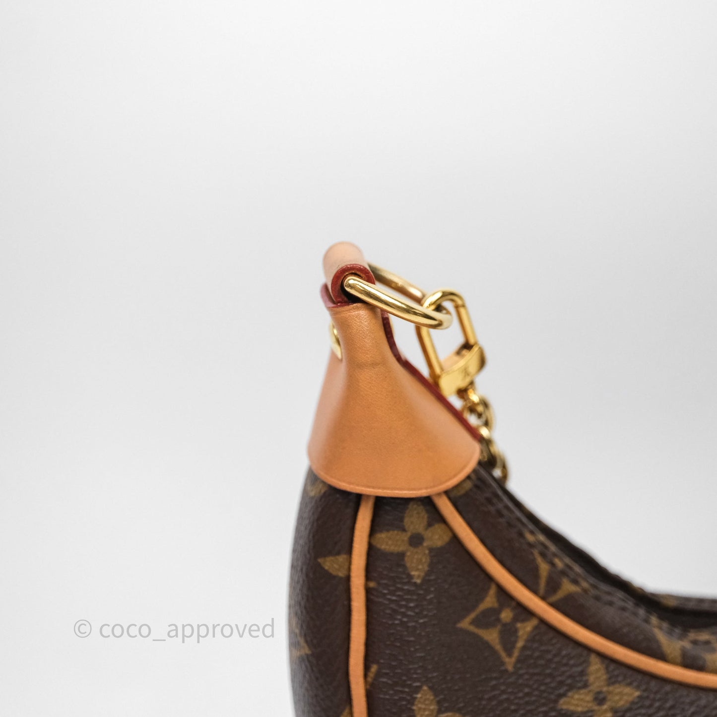 Louis Vuitton Loop Monogram Canvas