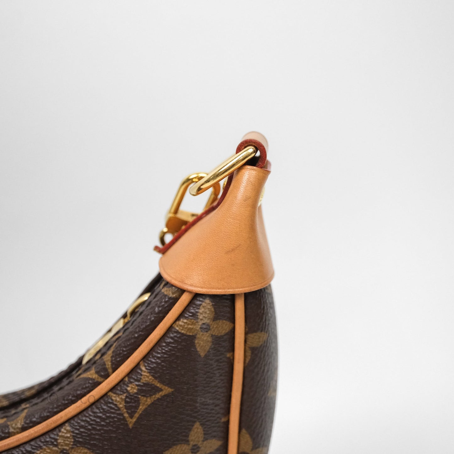 Louis Vuitton Loop Monogram Canvas