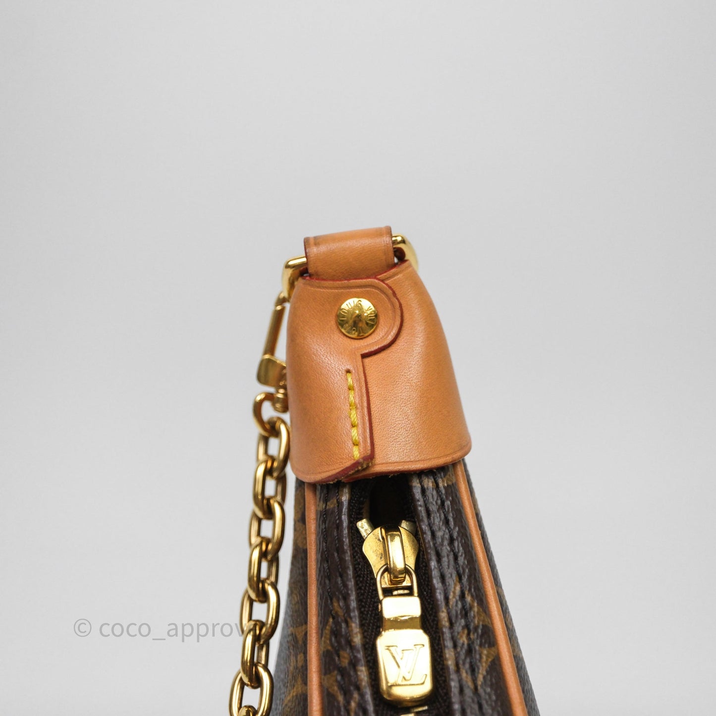 Louis Vuitton Loop Monogram Canvas