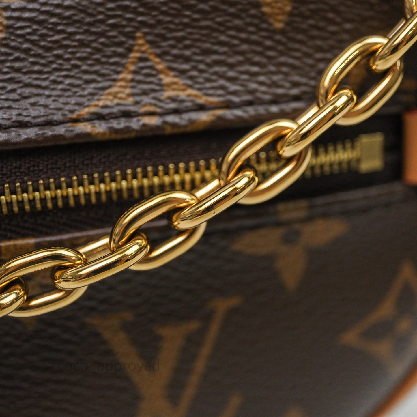Louis Vuitton Loop Monogram Canvas