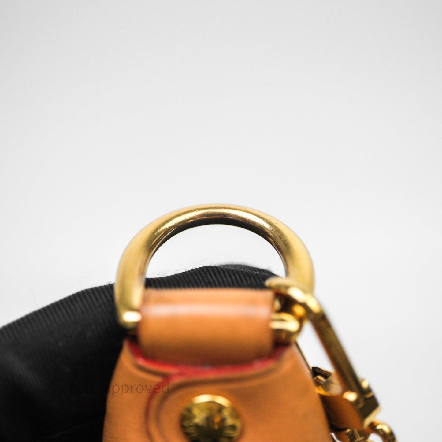 Louis Vuitton Loop Monogram Canvas