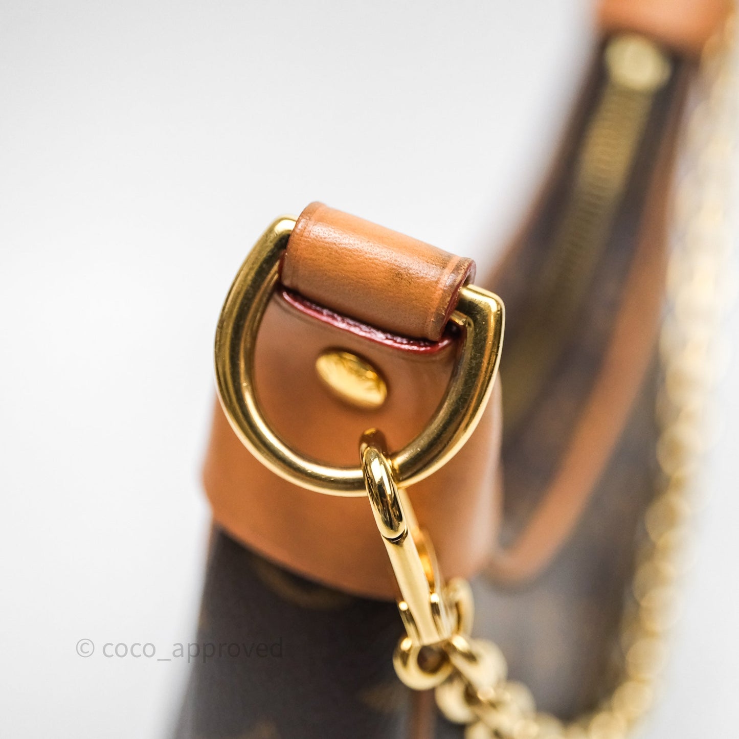 Louis Vuitton Loop Monogram Canvas
