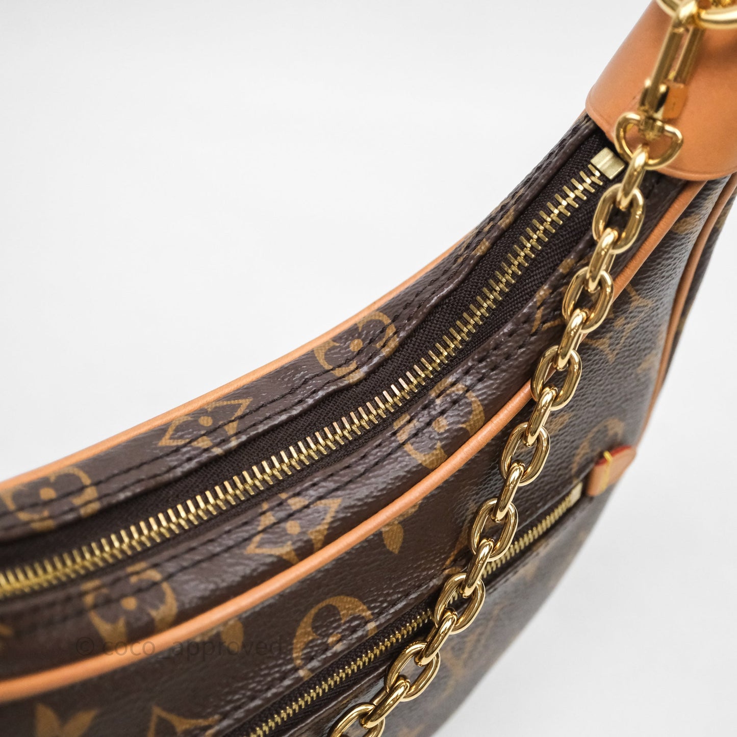 Louis Vuitton Loop Monogram Canvas
