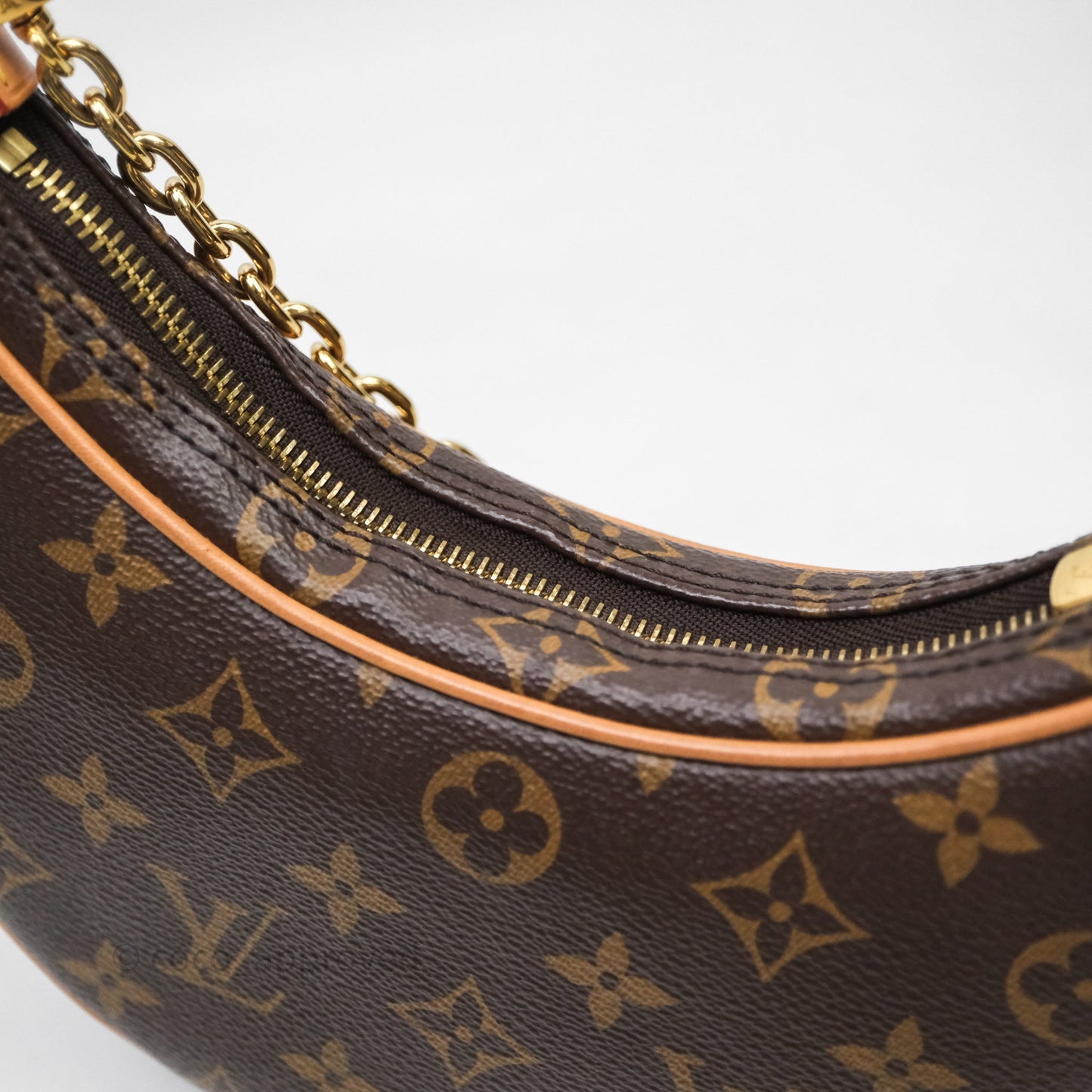 Louis Vuitton Loop Monogram Canvas