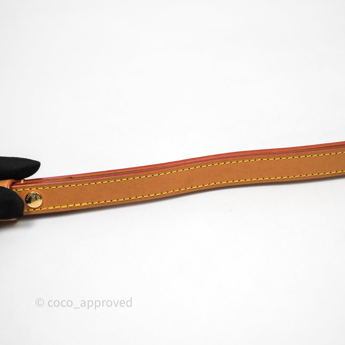 Louis Vuitton Loop Monogram Canvas