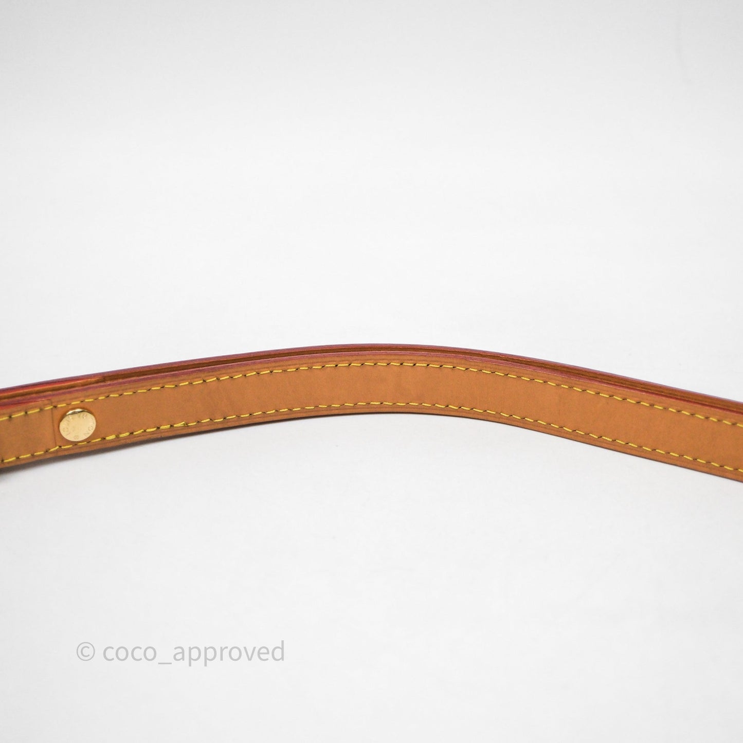 Louis Vuitton Loop Monogram Canvas