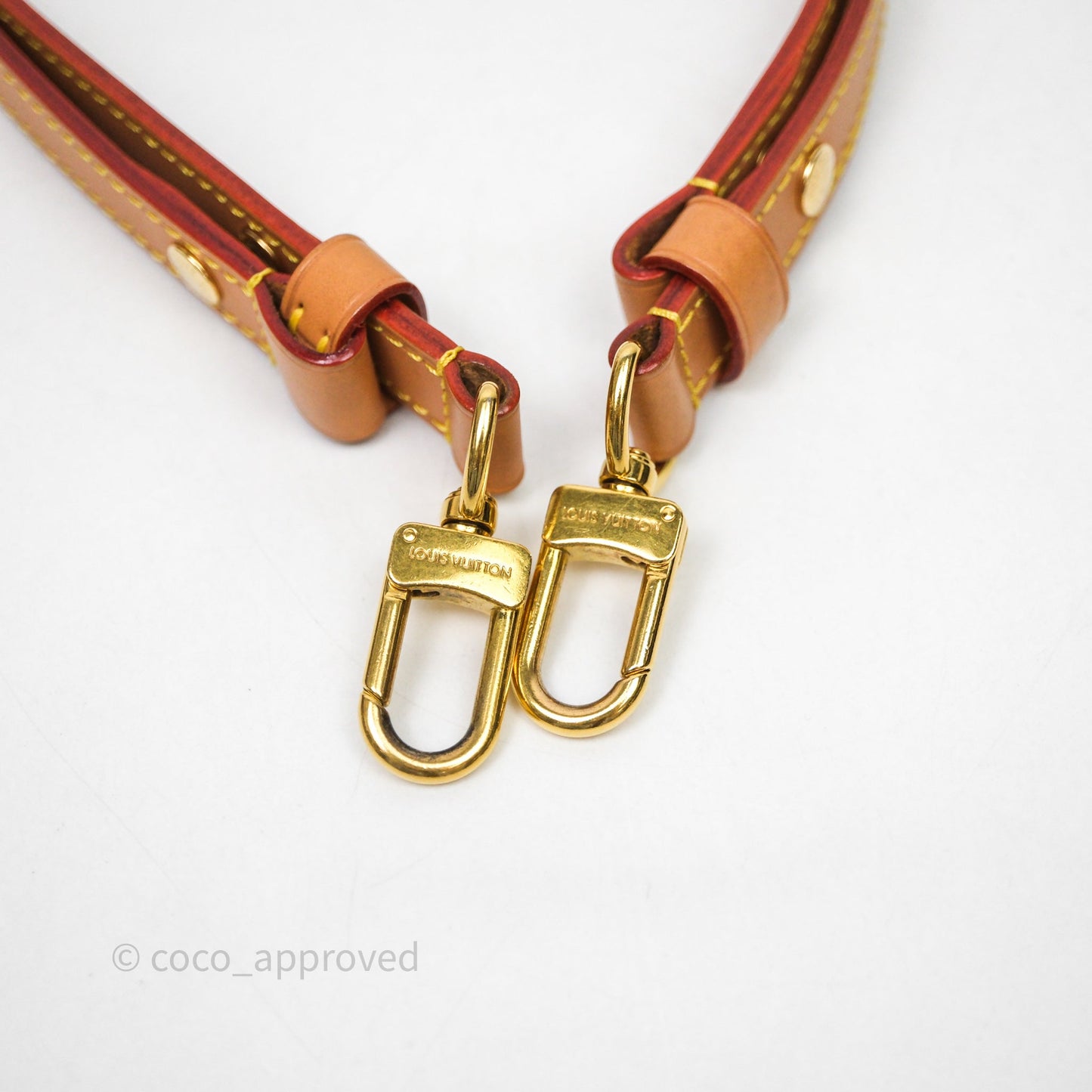 Louis Vuitton Loop Monogram Canvas