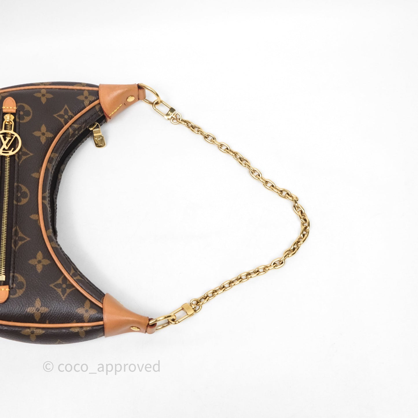 Louis Vuitton Loop Monogram Canvas