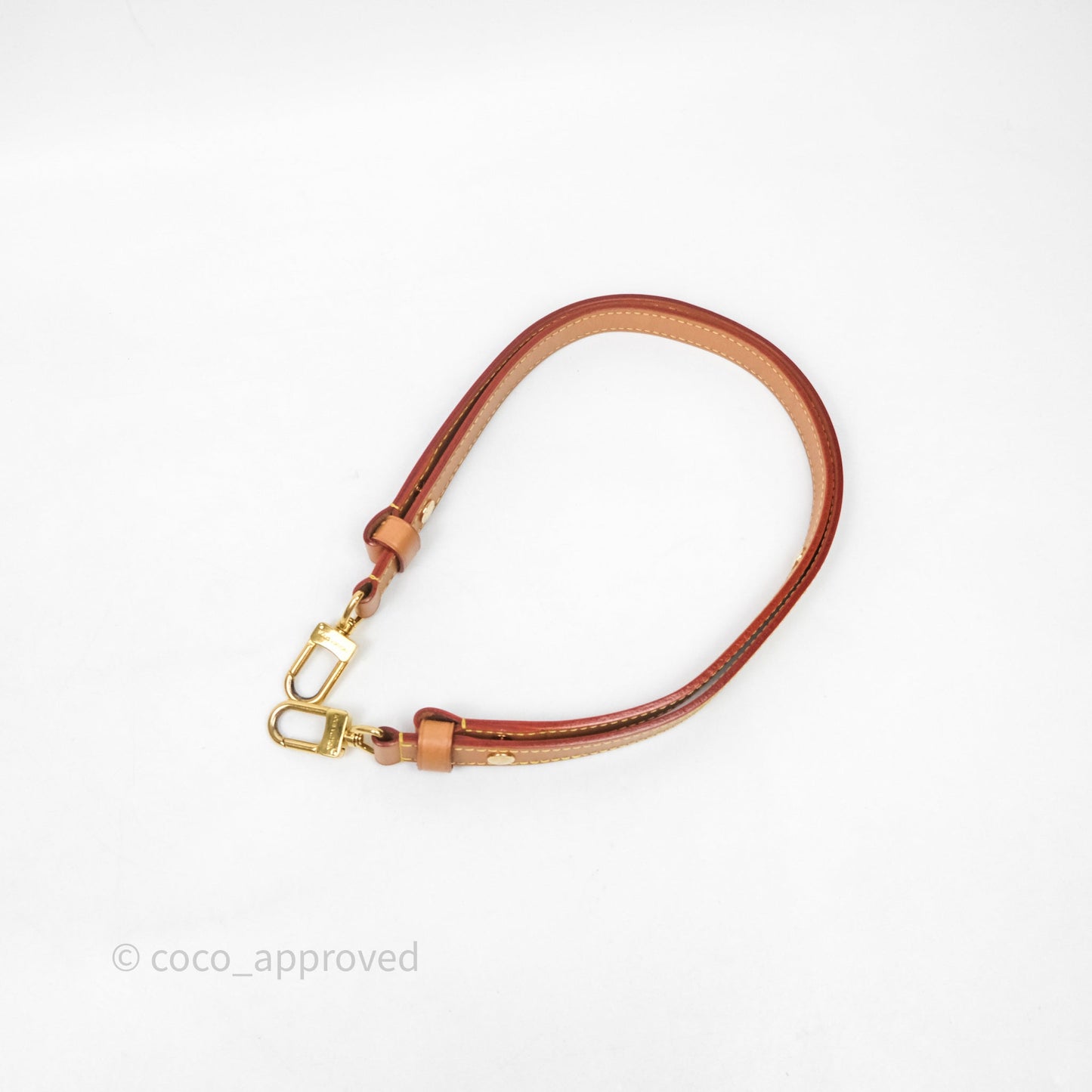 Louis Vuitton Loop Monogram Canvas