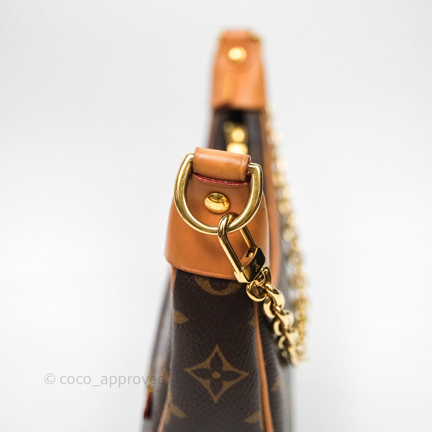 Louis Vuitton Loop Monogram Canvas