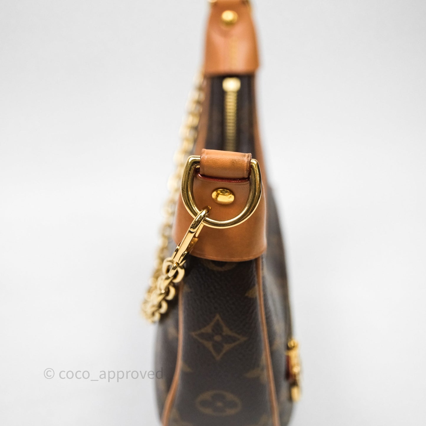 Louis Vuitton Loop Monogram Canvas