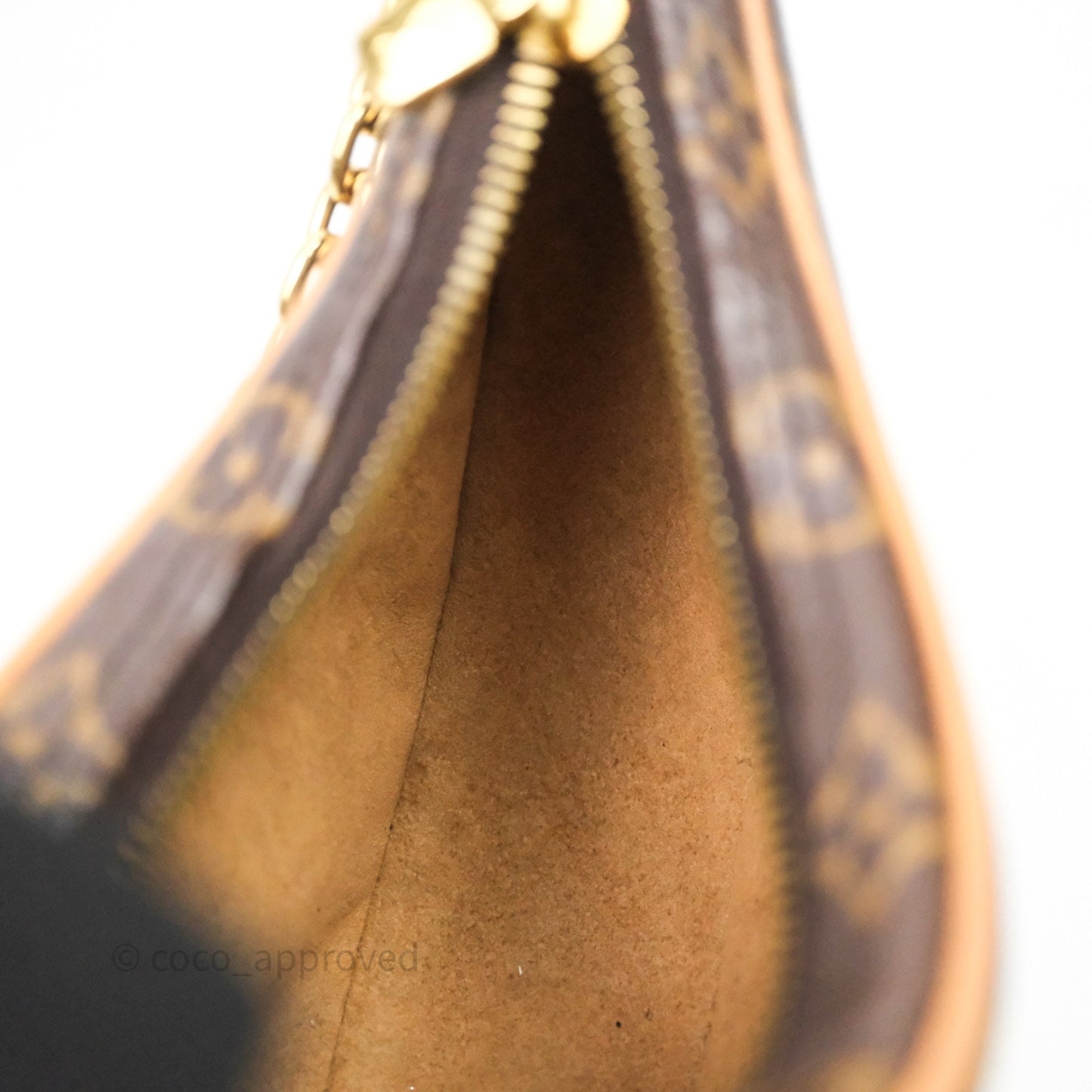 Louis Vuitton Loop Monogram Canvas
