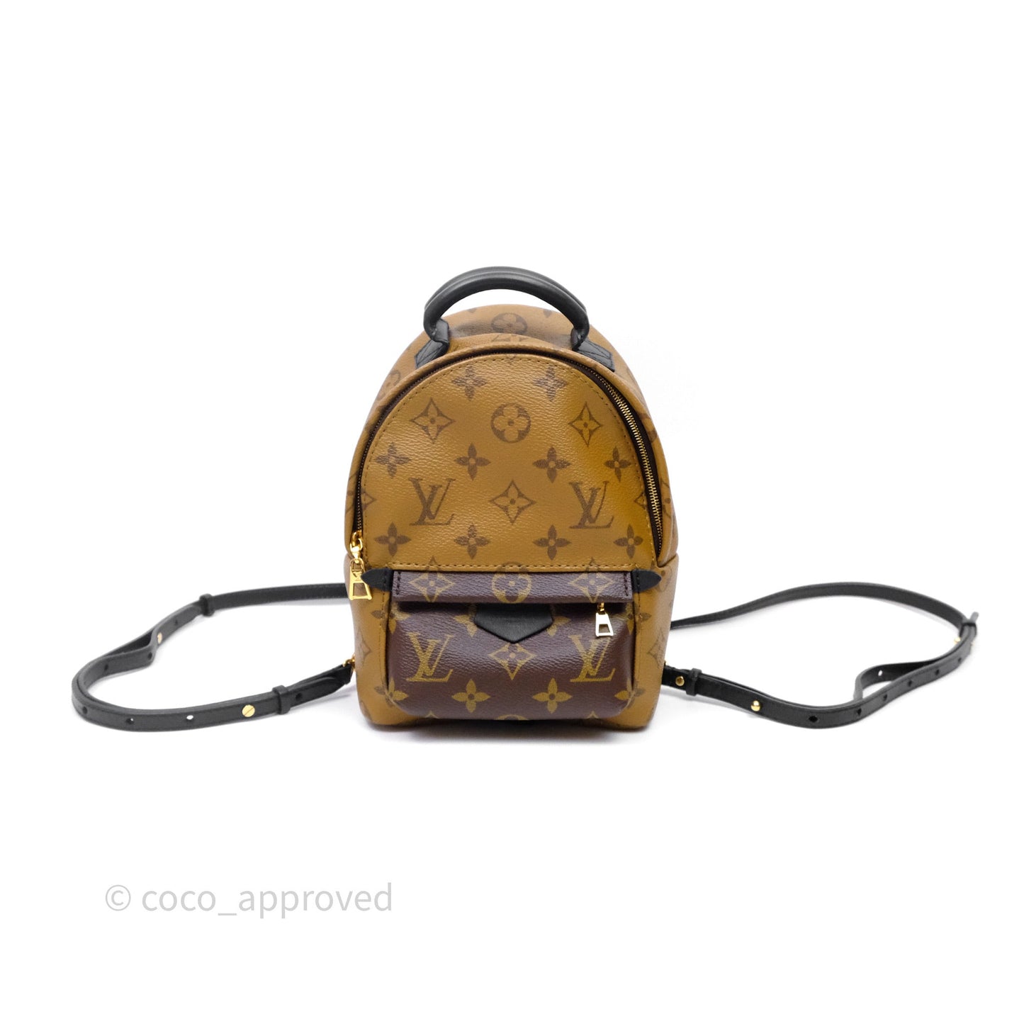 Louis Vuitton Mini Reverse Monogram Palm Springs Backpack⁣