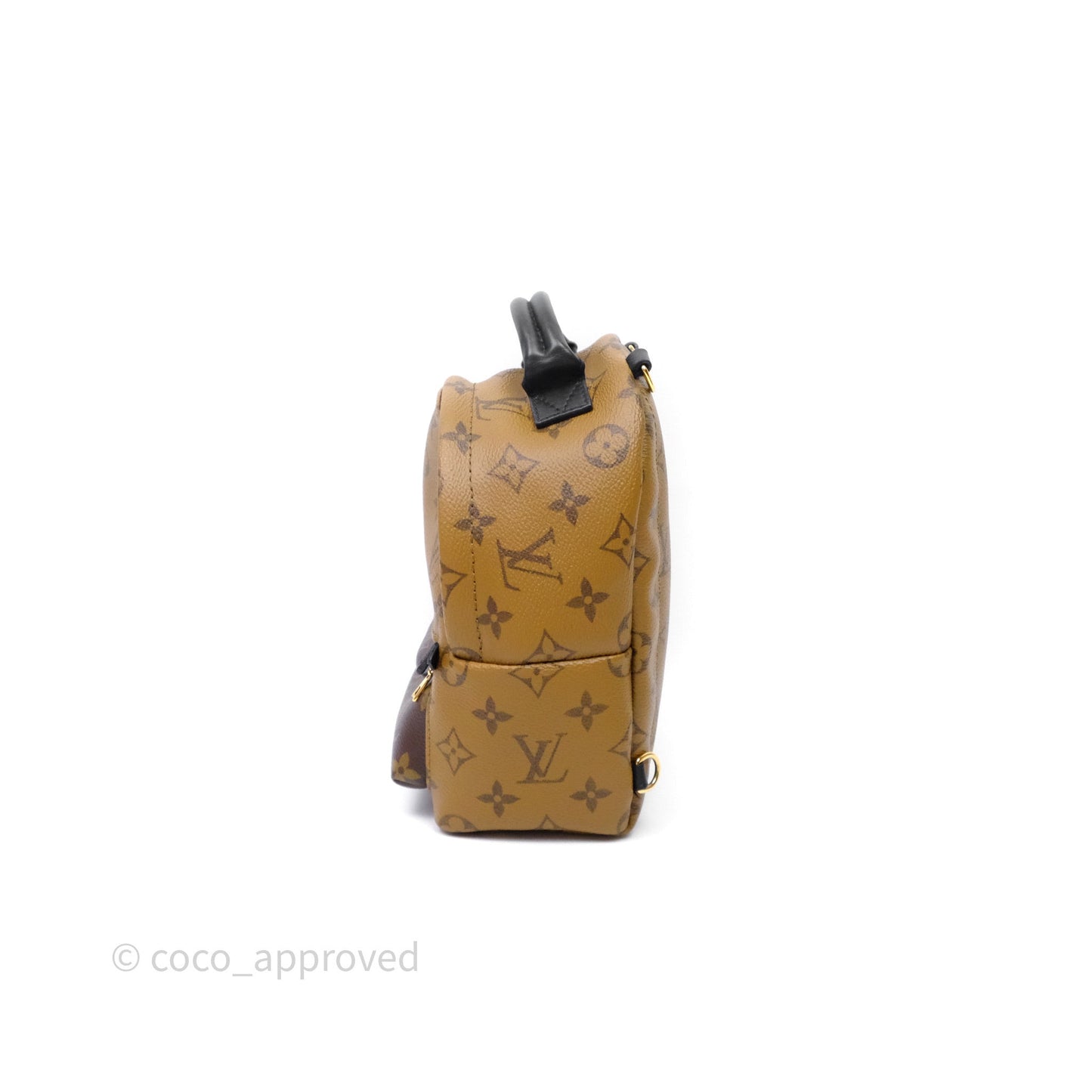 Louis Vuitton Mini Reverse Monogram Palm Springs Backpack⁣