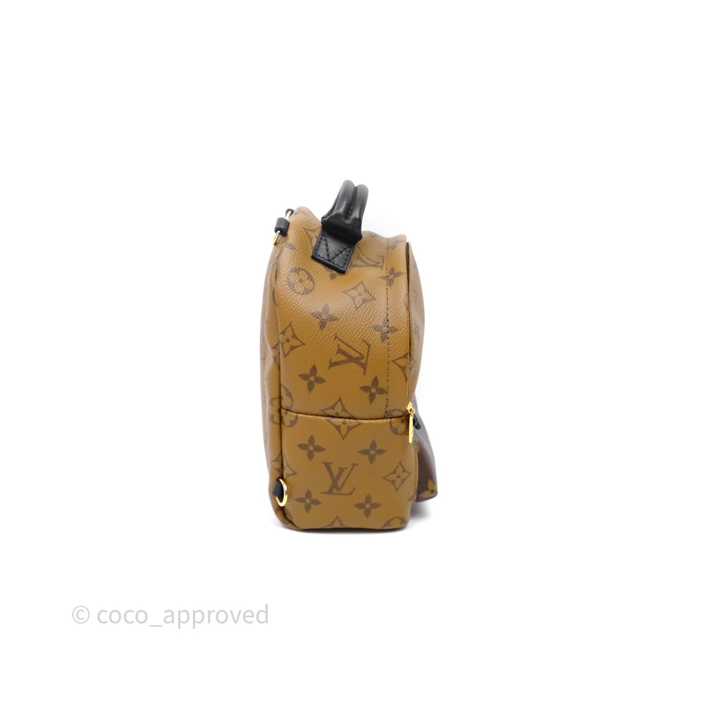 Louis Vuitton Mini Reverse Monogram Palm Springs Backpack⁣