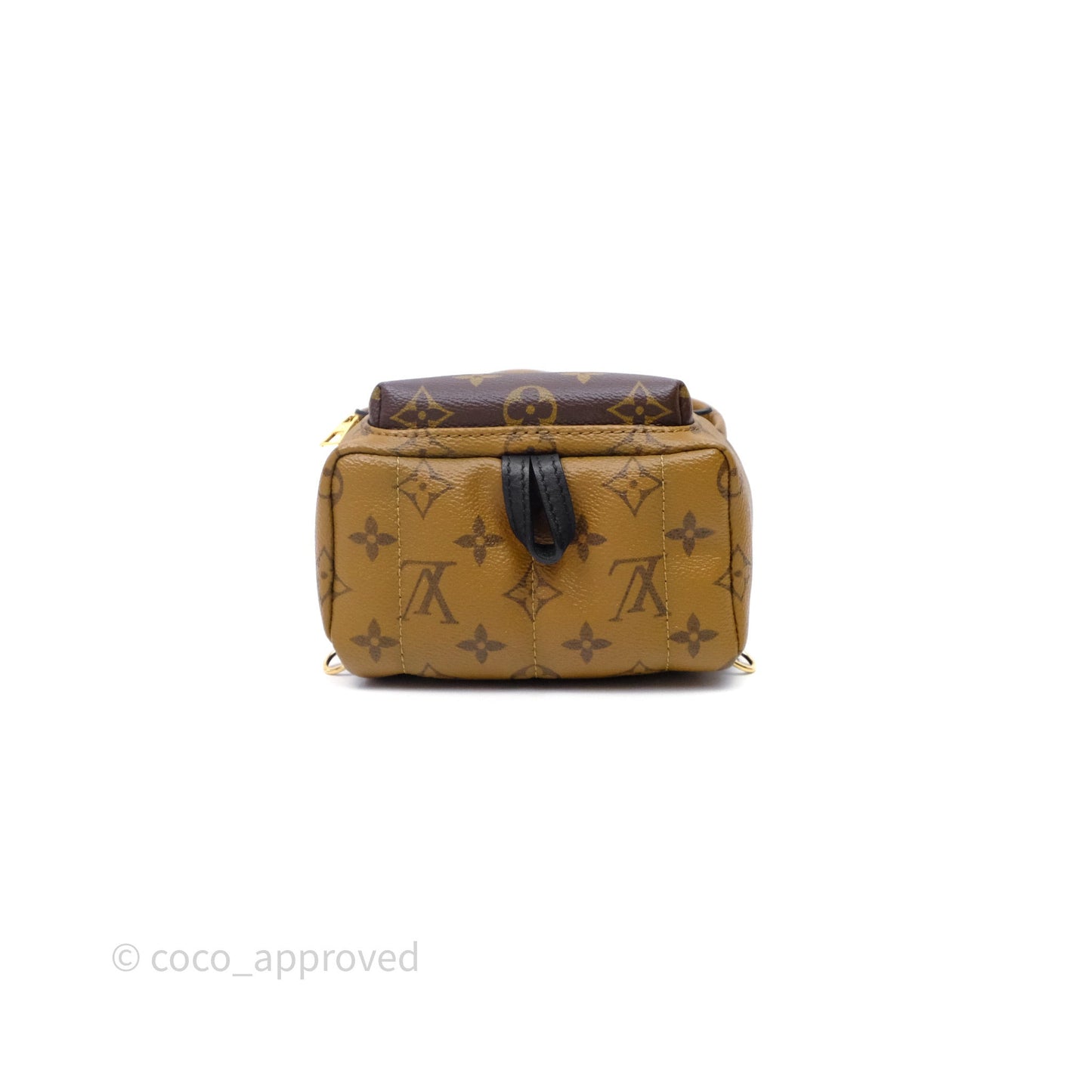 Louis Vuitton Mini Reverse Monogram Palm Springs Backpack⁣