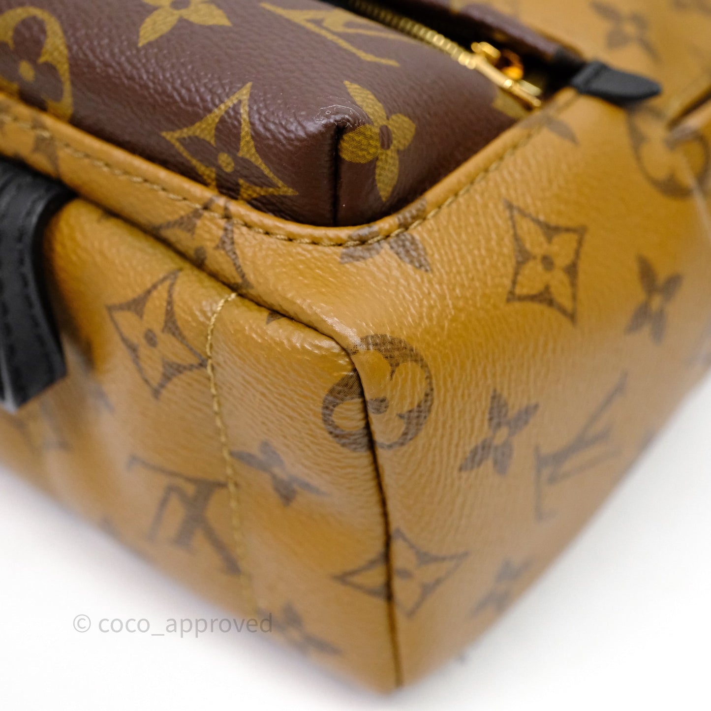 Louis Vuitton Mini Reverse Monogram Palm Springs Backpack⁣