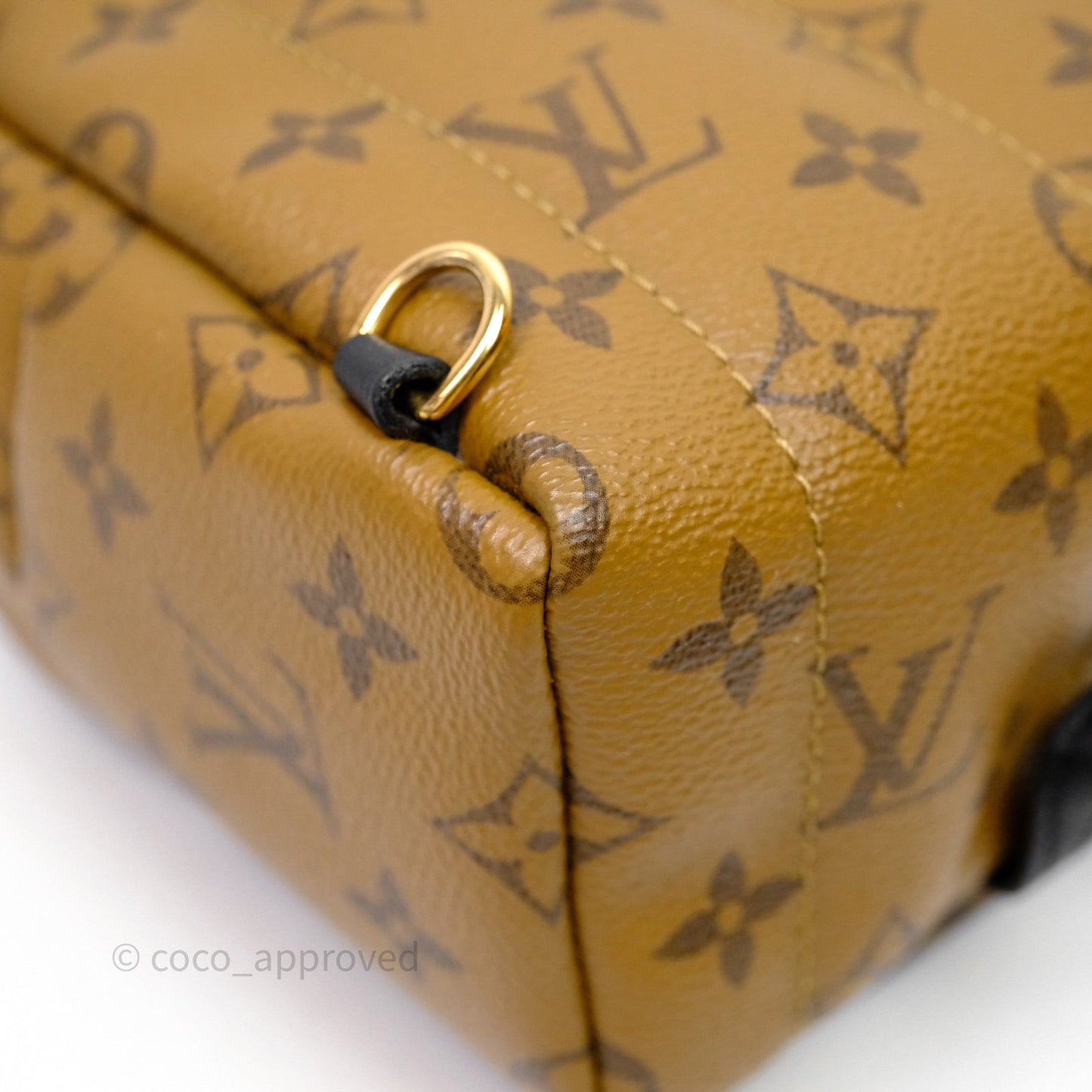 Louis Vuitton Mini Reverse Monogram Palm Springs Backpack⁣