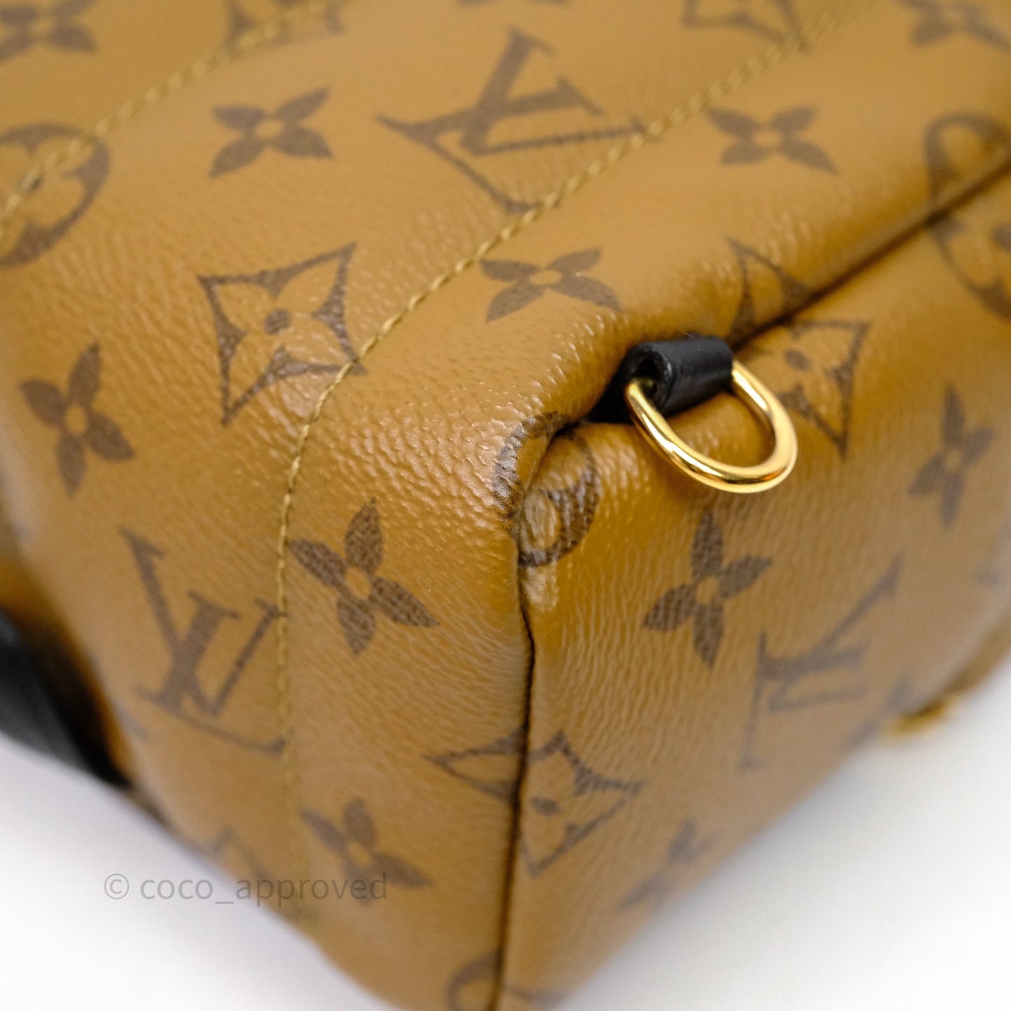 Louis Vuitton Mini Reverse Monogram Palm Springs Backpack⁣