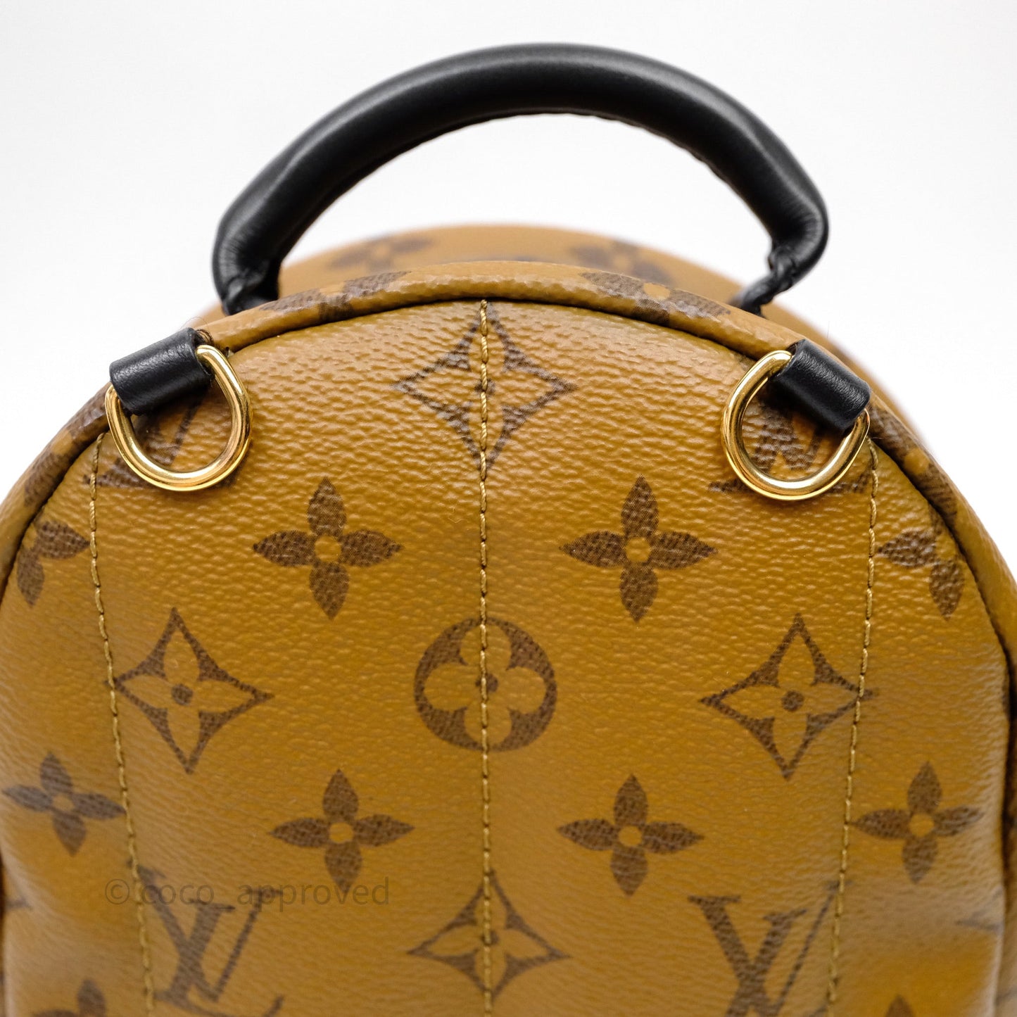 Louis Vuitton Mini Reverse Monogram Palm Springs Backpack⁣