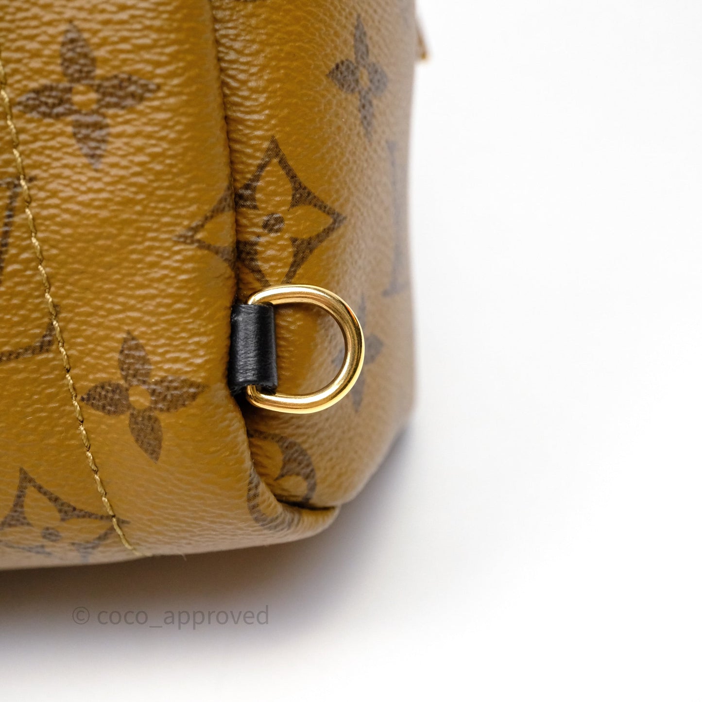Louis Vuitton Mini Reverse Monogram Palm Springs Backpack⁣