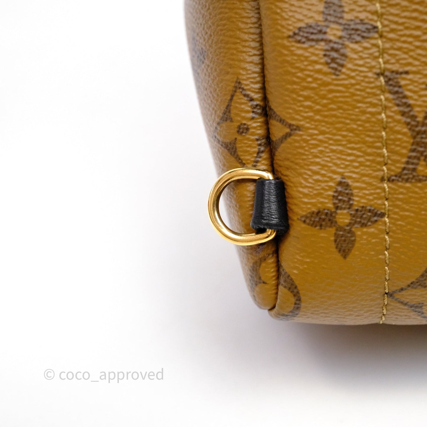 Louis Vuitton Mini Reverse Monogram Palm Springs Backpack⁣