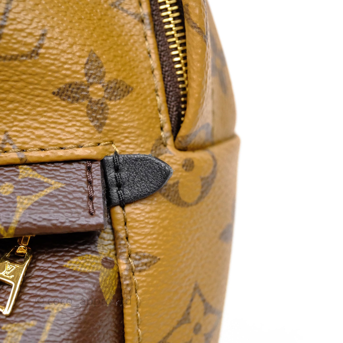 Louis Vuitton Mini Reverse Monogram Palm Springs Backpack⁣