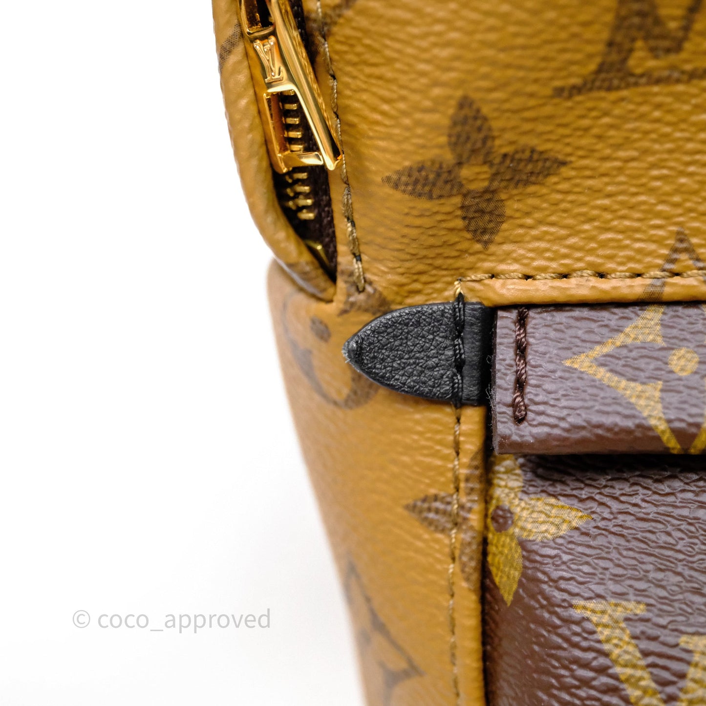 Louis Vuitton Mini Reverse Monogram Palm Springs Backpack⁣