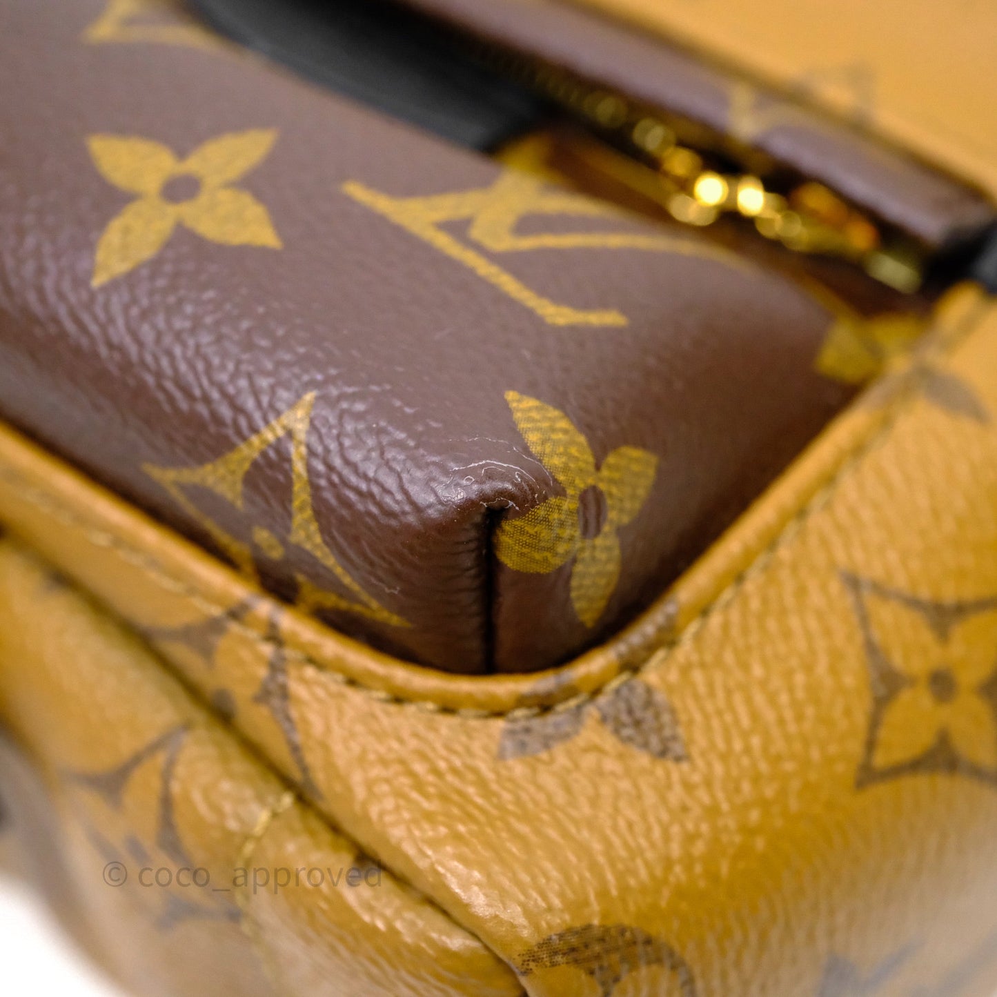 Louis Vuitton Mini Reverse Monogram Palm Springs Backpack⁣
