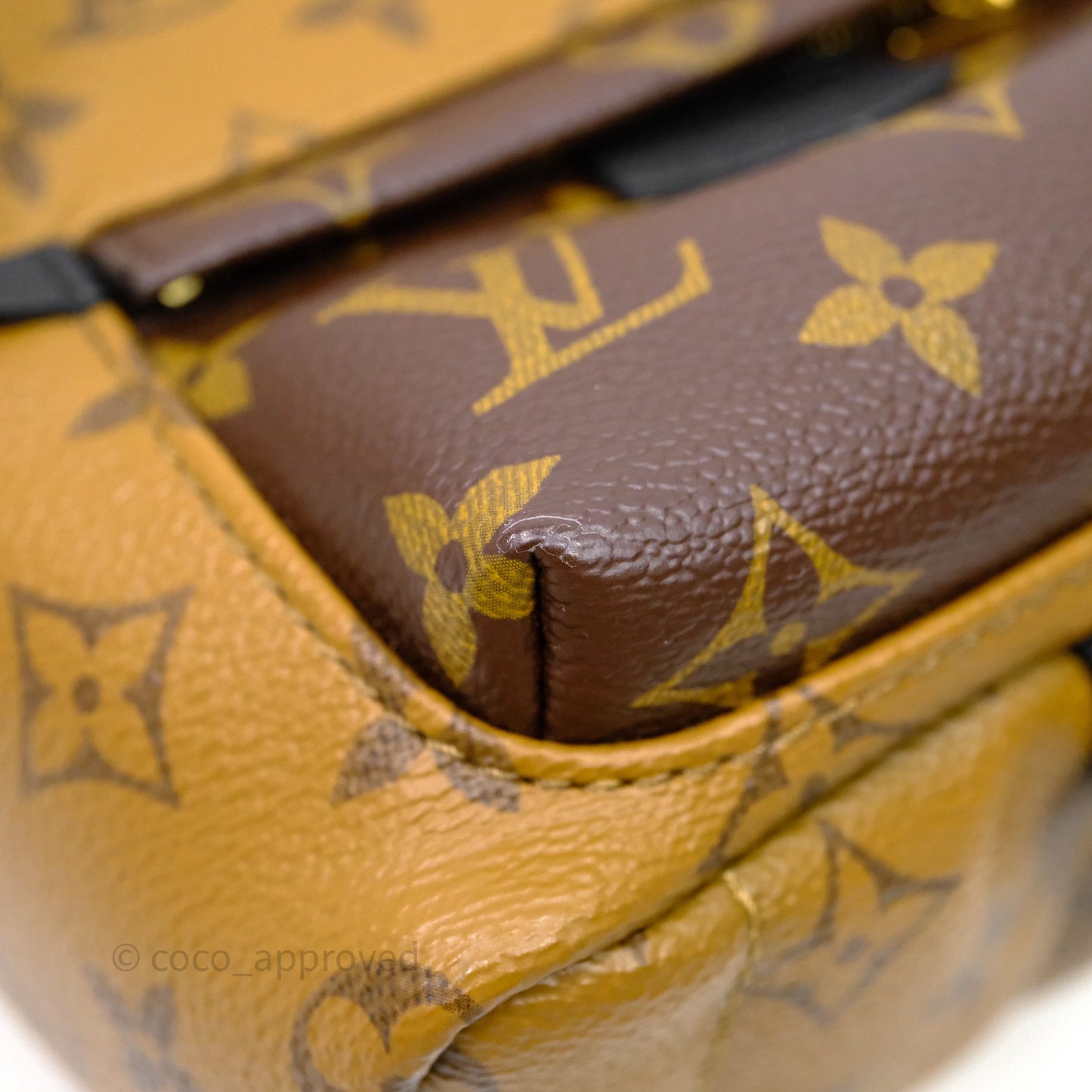 Louis Vuitton Mini Reverse Monogram Palm Springs Backpack⁣