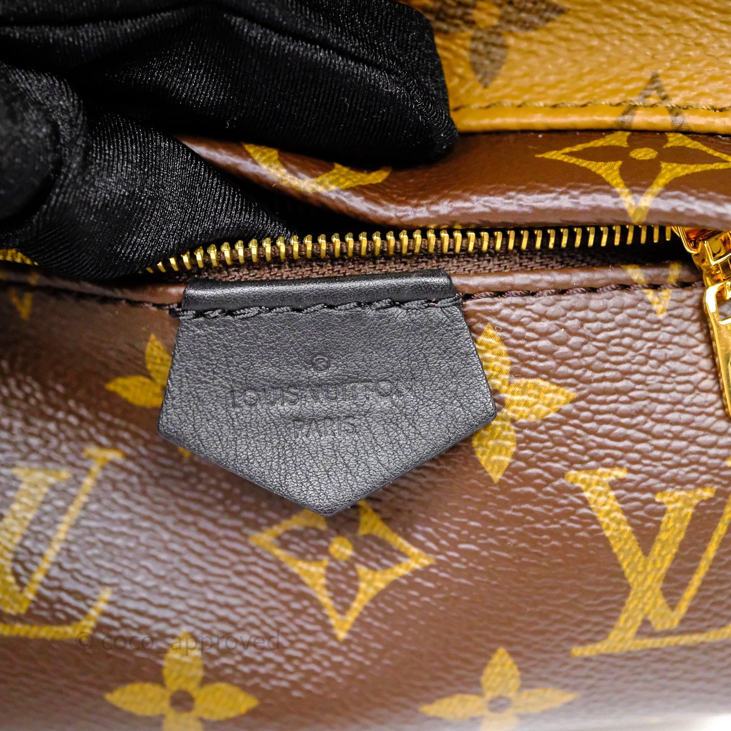 Louis Vuitton Mini Reverse Monogram Palm Springs Backpack⁣