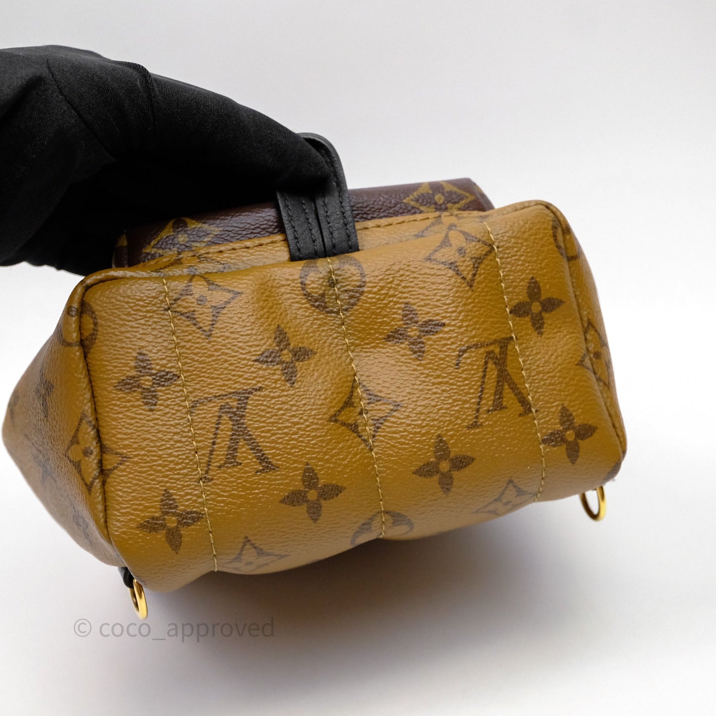 Louis Vuitton Mini Reverse Monogram Palm Springs Backpack⁣