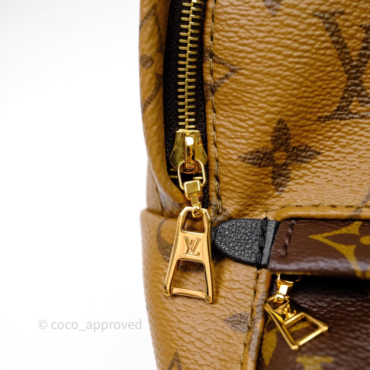 Louis Vuitton Mini Reverse Monogram Palm Springs Backpack⁣