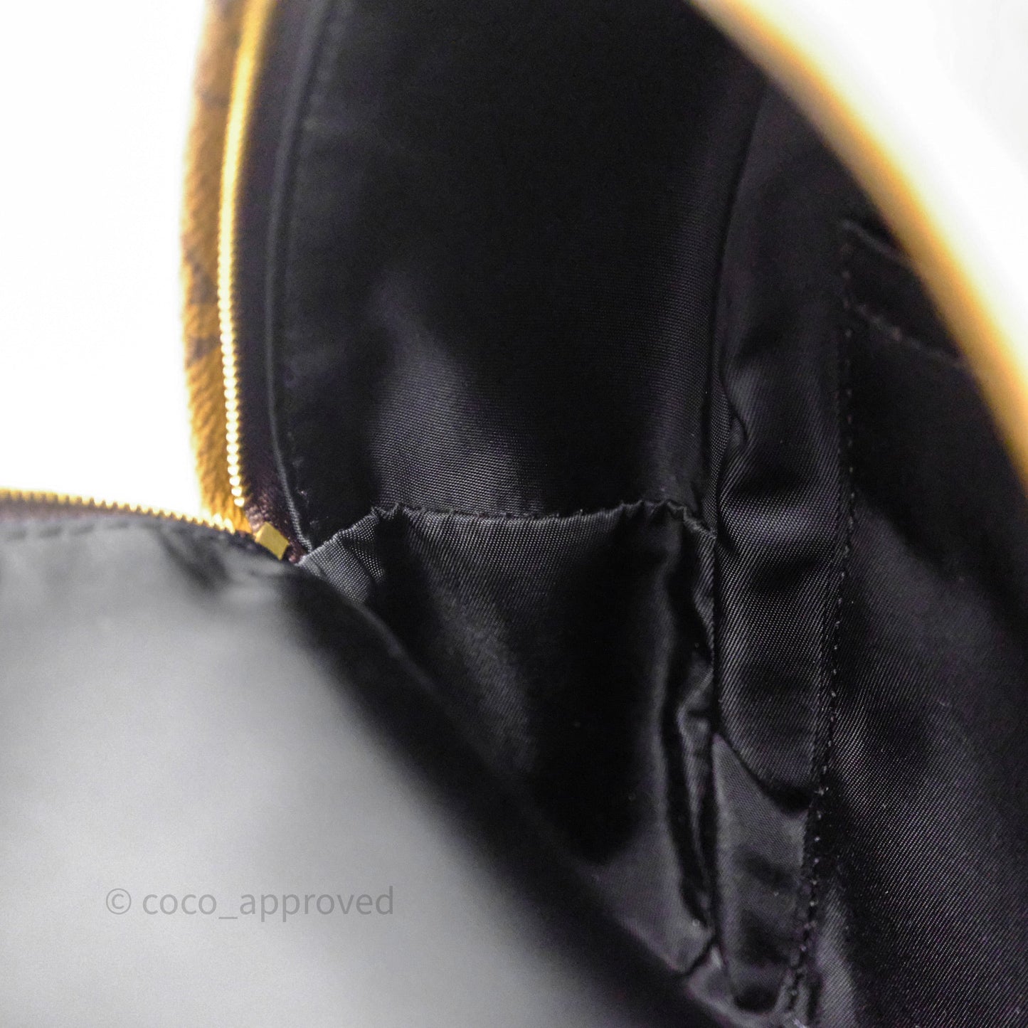 Louis Vuitton Mini Reverse Monogram Palm Springs Backpack⁣