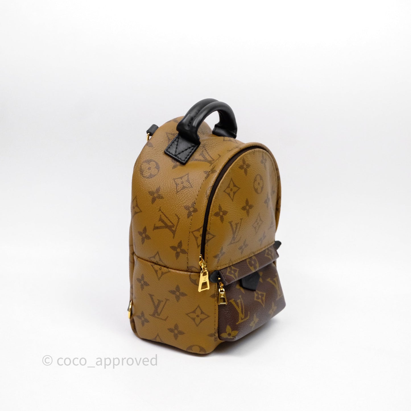 Louis Vuitton Mini Reverse Monogram Palm Springs Backpack⁣