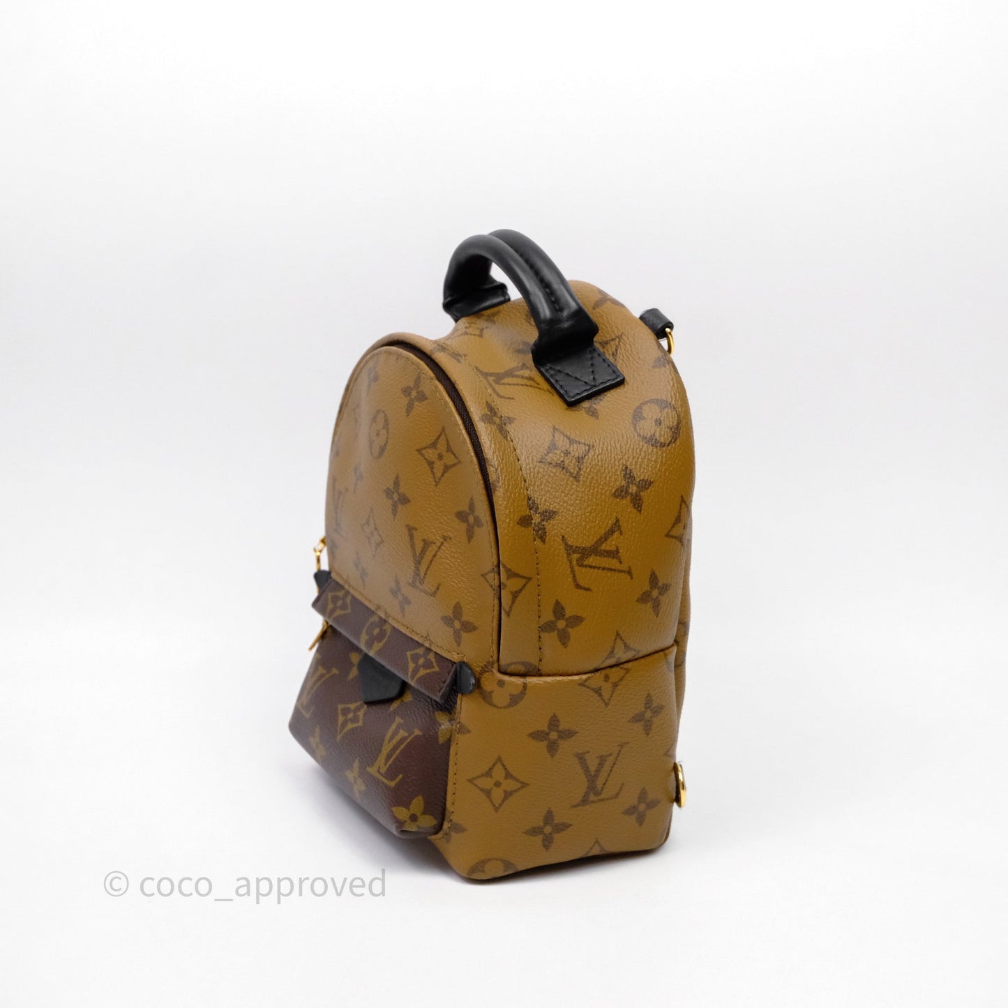 Louis Vuitton Mini Reverse Monogram Palm Springs Backpack⁣