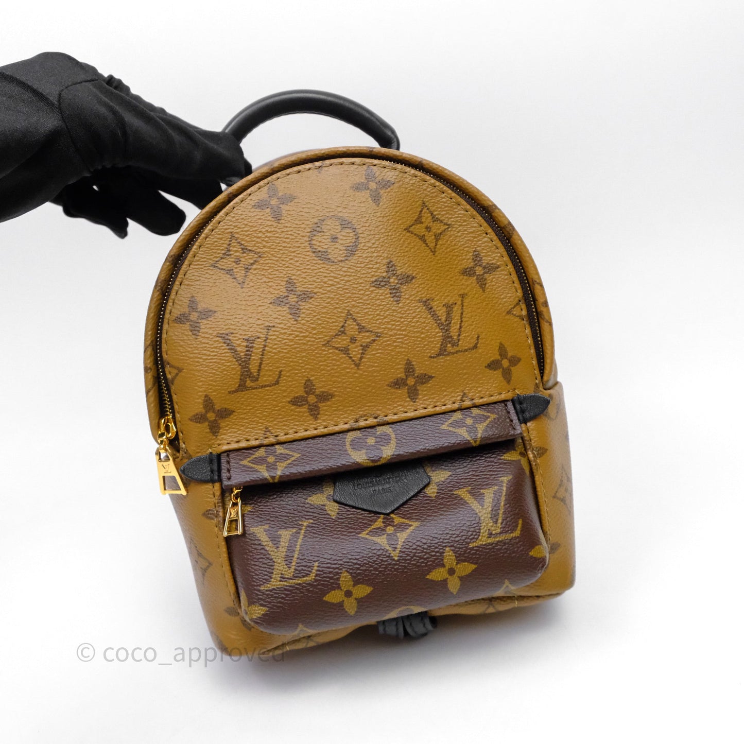 Louis Vuitton Mini Reverse Monogram Palm Springs Backpack⁣